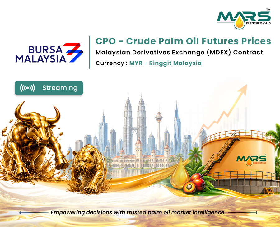 CPO Crude Palm Oil Futures Prices Malaysia | Mars Oleochemicals