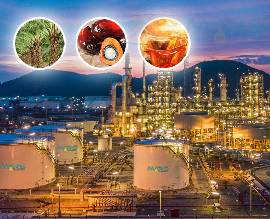 Oleochemicals Industry in Malaysia - Mars Oleochemicals