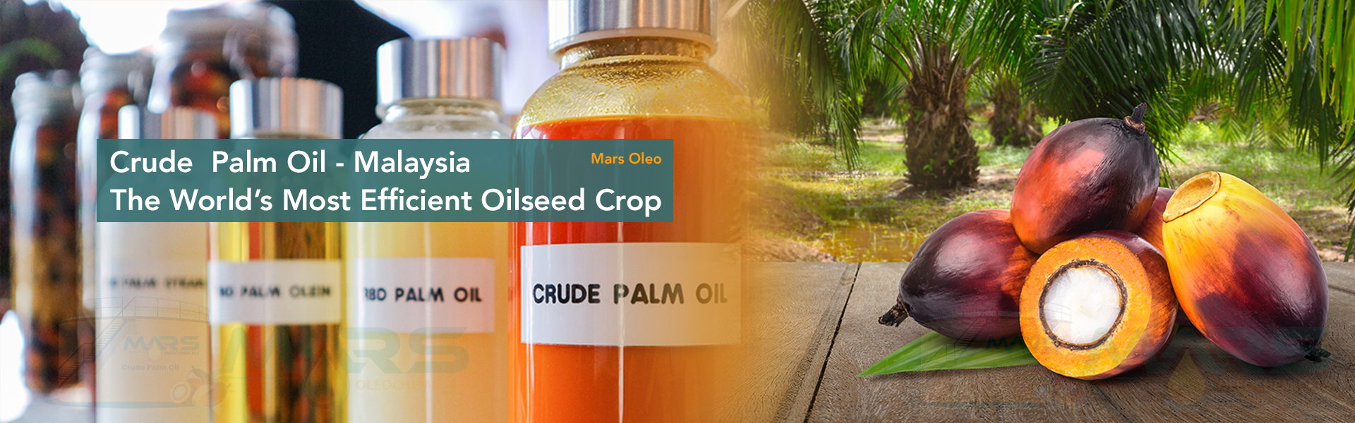 Oleochemicals Producers in Malaysia - Mars Oleochemicals