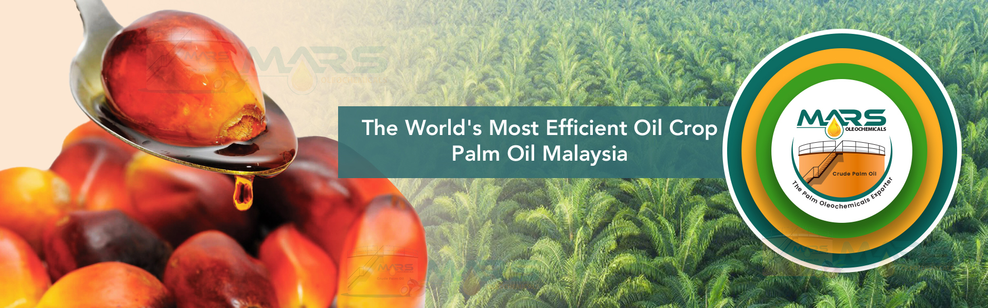 Palm Oil Malaysia - Mars Oleochemicals