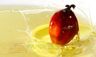 Palm Oil Malaysia Mars Oleochemicals