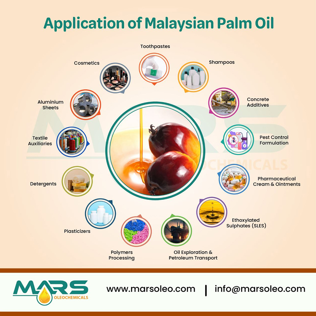 Application of Malaysian Palm Oil Uses