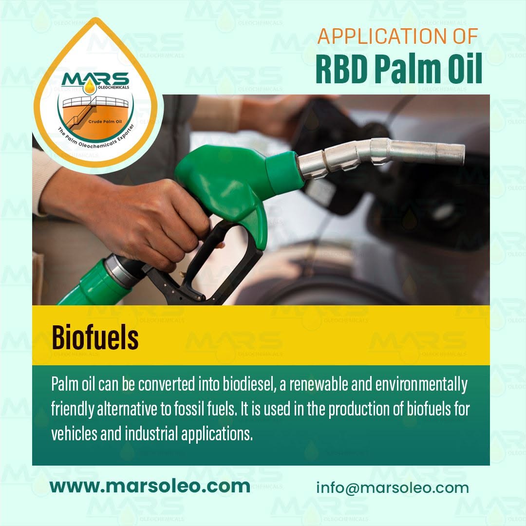 Application of RBD Palm Oil in Biodiesel Production