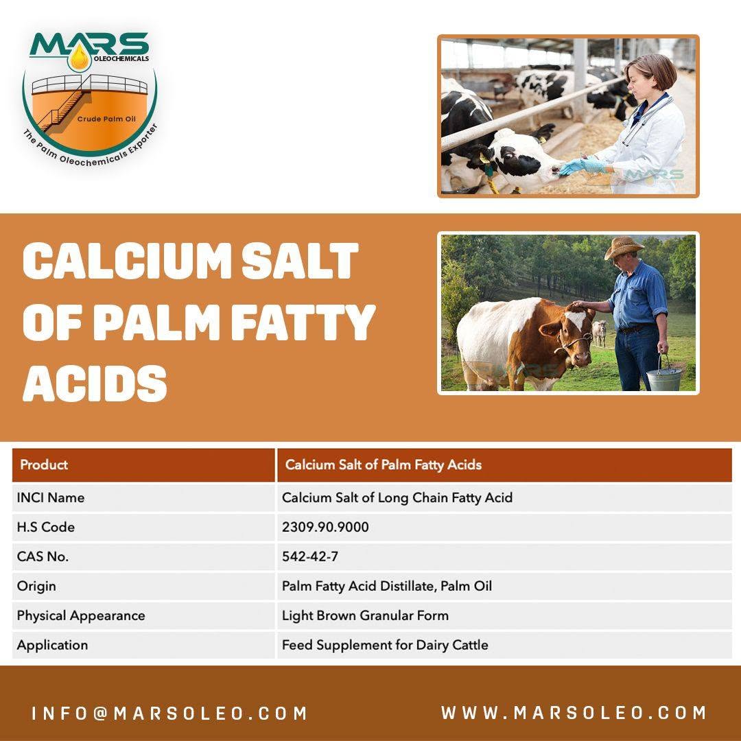 Palm-derived Calcium Salts of Fatty Acids provide concentrated rumen-protected energy for formulated dairy-cattle diets.