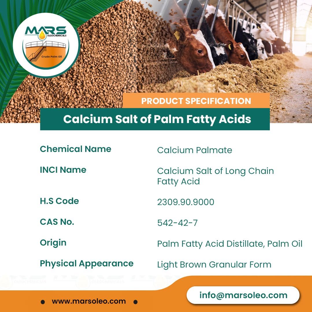 Calcium Salt of Palm Fatty Acids Calcium Palmitate Rumen Protected Fat Feed Supplement for Dairy Cattle