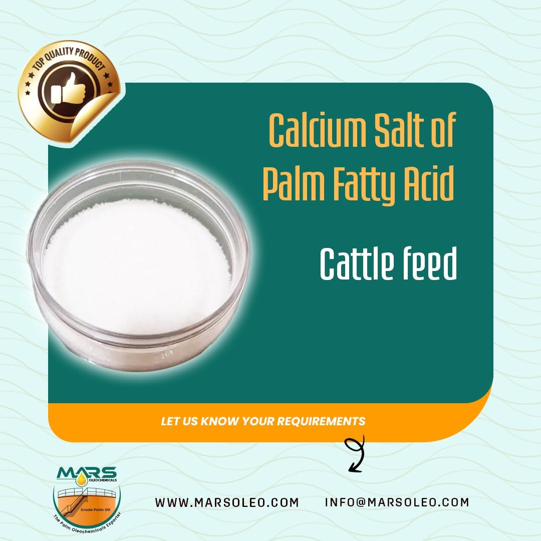 Calcium Salt of Palm Fatty Acids used as rumen-protected bypass fat supplement for dairy cows.