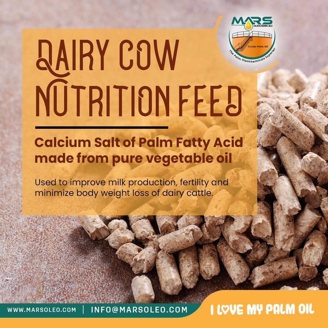 Mars Oleochemicals calcium salts of palm fatty acids feed supplement for dairy cow nutrition.