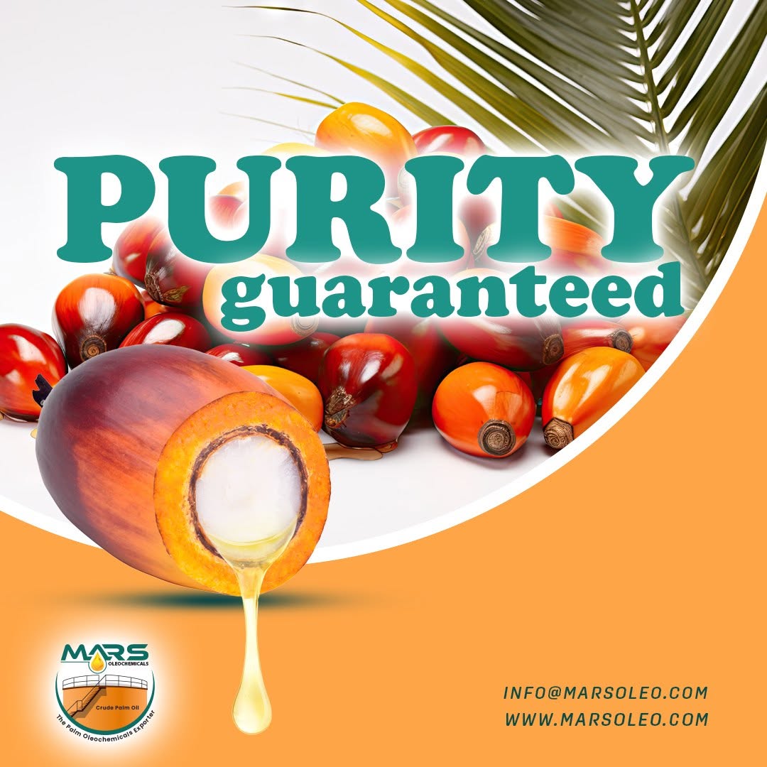 Oil palm fruits with golden palm oil high-quality palm-based oleochemicals supplied by Mars Oleochemicals.