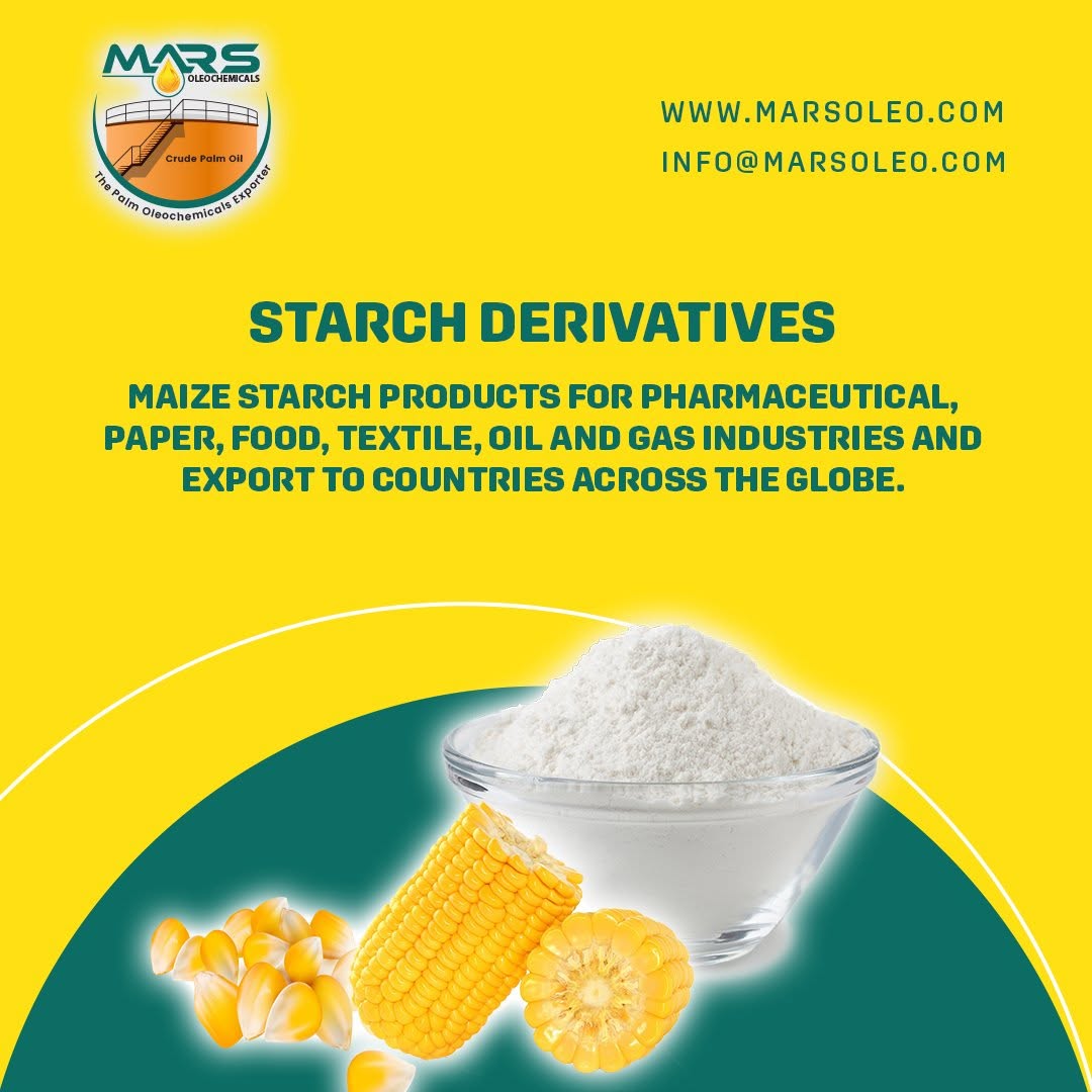 Maize starch powder representing maize starch derivatives for food and industrial applications.