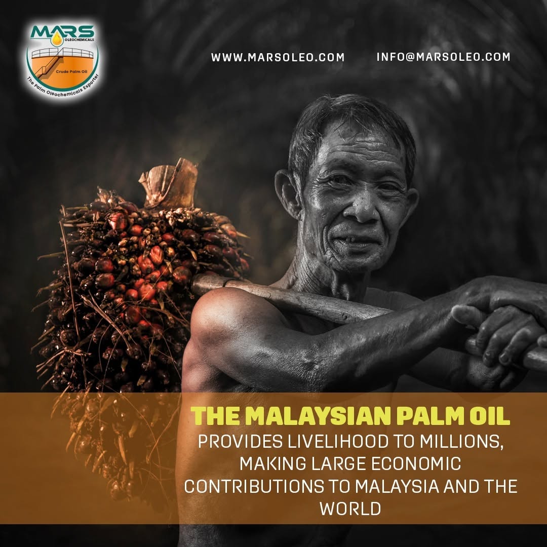 Malaysian oil palm worker carrying fresh fruit bunches, representing smallholder livelihoods and the palm oil economy.