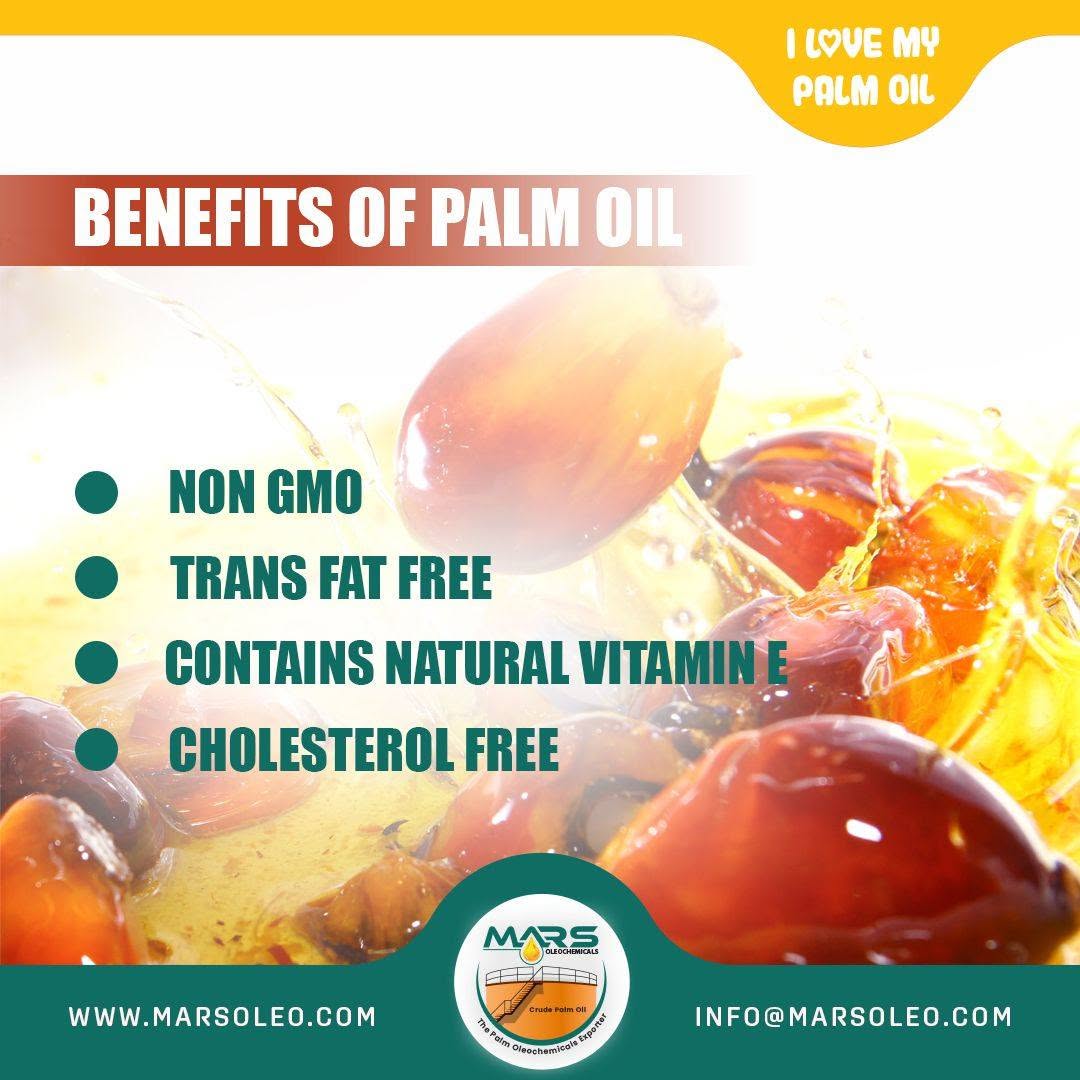 Oil palm fruits and golden Malaysian palm oil highlighting vitamin E, cholesterol-free and trans-fat-free characteristics.