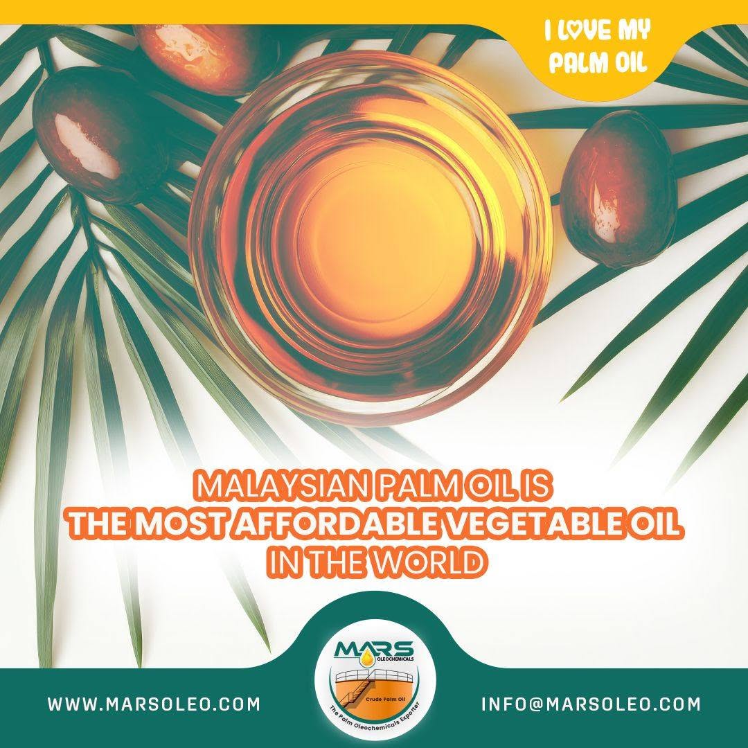 Malaysian palm oil with oil palm fruits highlighting its cost competitiveness and versatile applications.