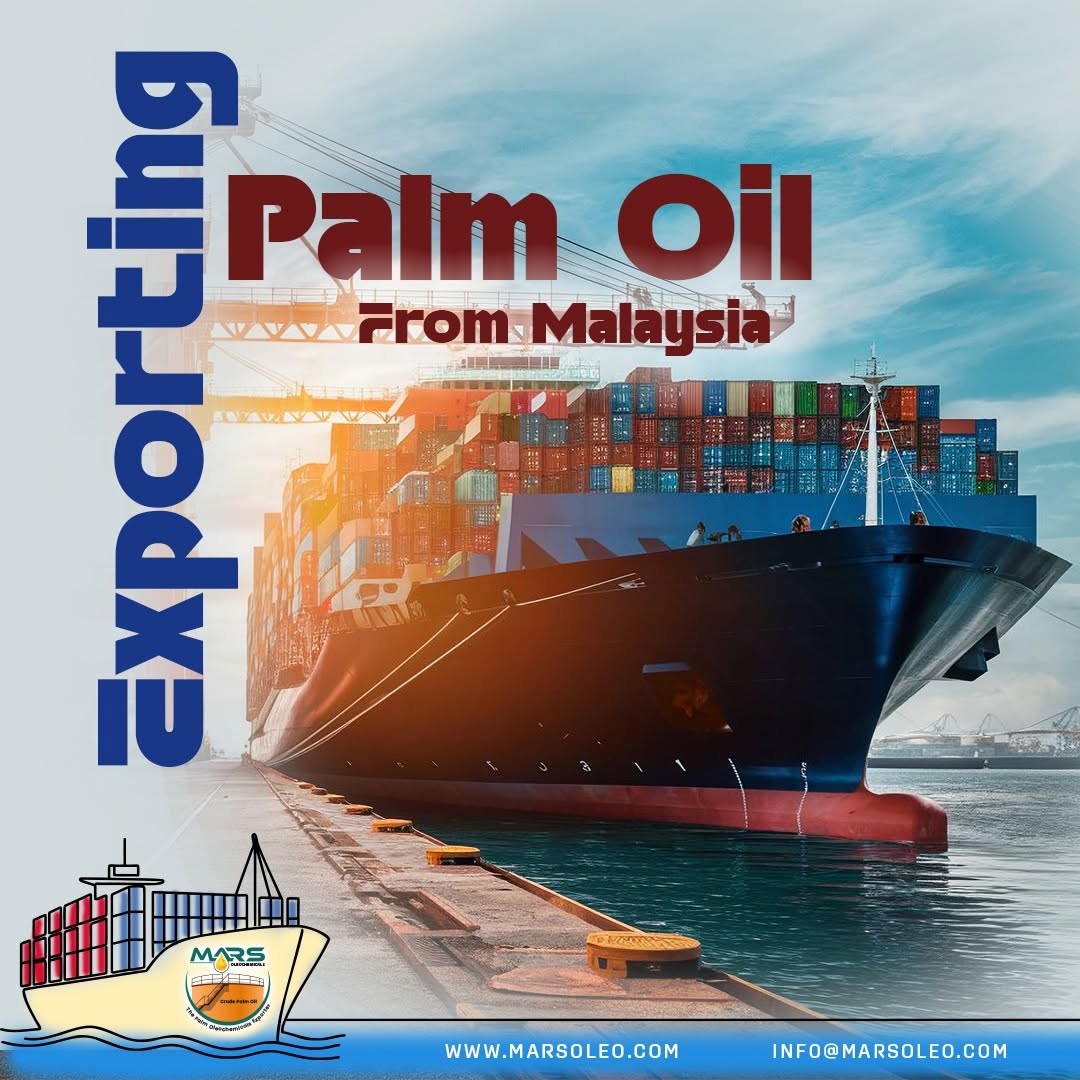 Malaysian palm oil export cargo vessel and international palm oil shipping from Malaysia.