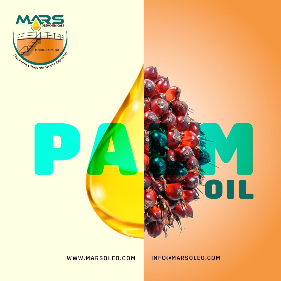 Mars Oleochemicals Malaysian palm oil featuring ripe oil palm fruits and golden palm oil representing global palm oil applications