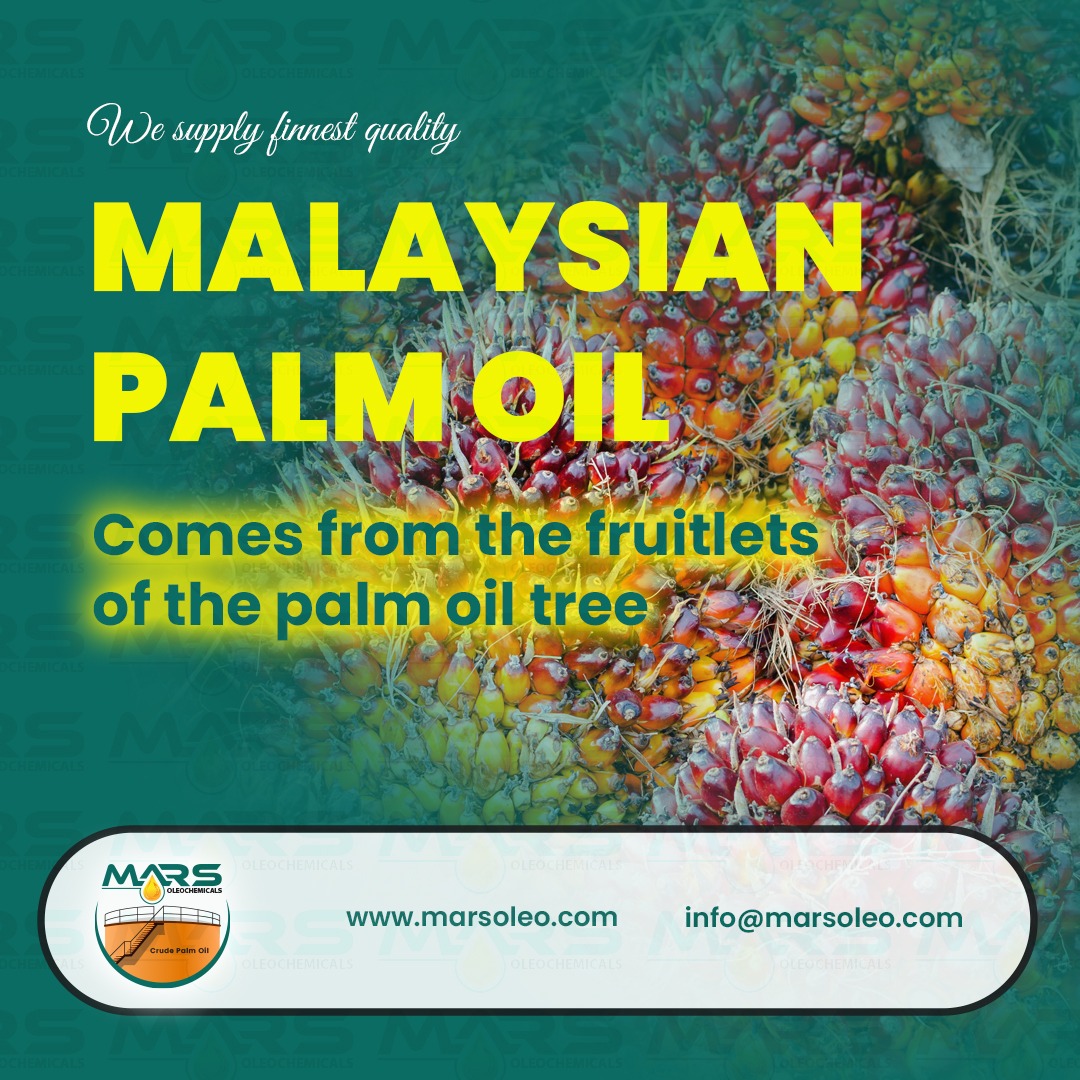 Malaysian Palm Oil produced from fresh fruitlets of the oil palm tree supplied worldwide from Malaysia.