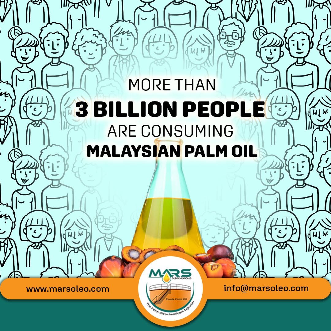Malaysian Palm Oil consumed by more than 3 billion people globally, with palm oil bottle, palm fruits and illustrated