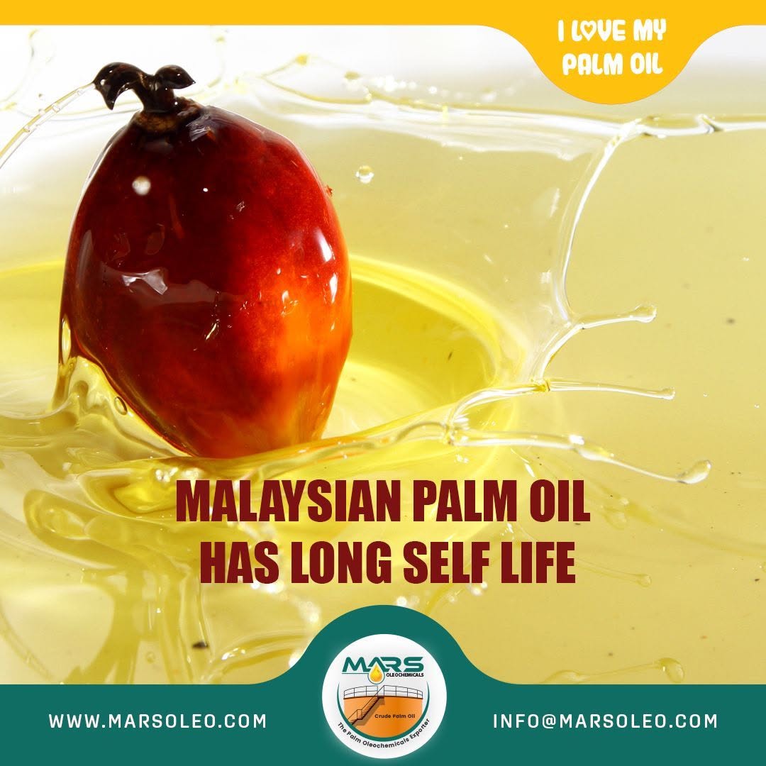 Oil palm fruit in golden Malaysian palm oil oxidative stability and shelf-life performance.