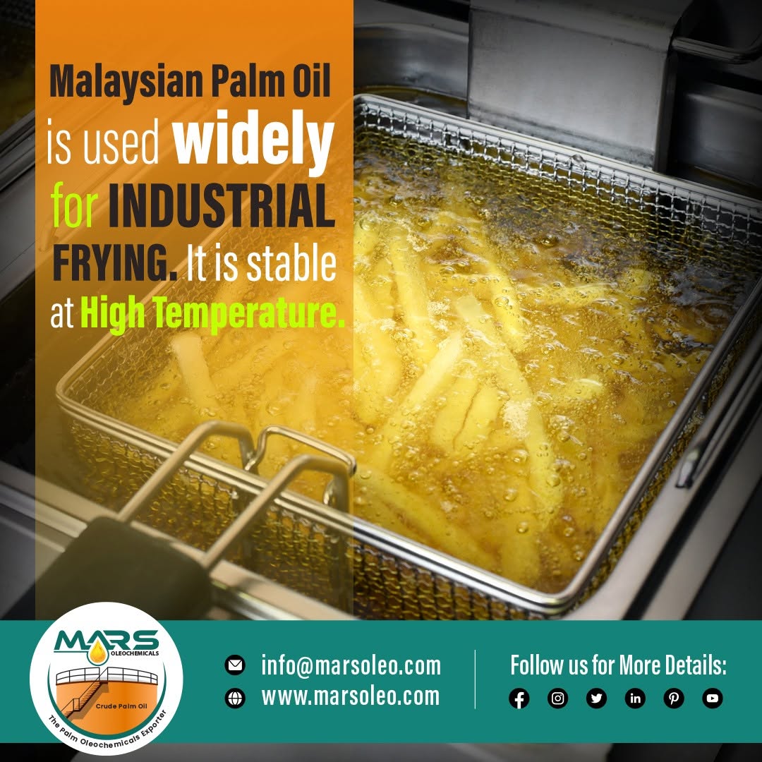 Malaysian refined palm oil and palm olein are widely used in industrial frying