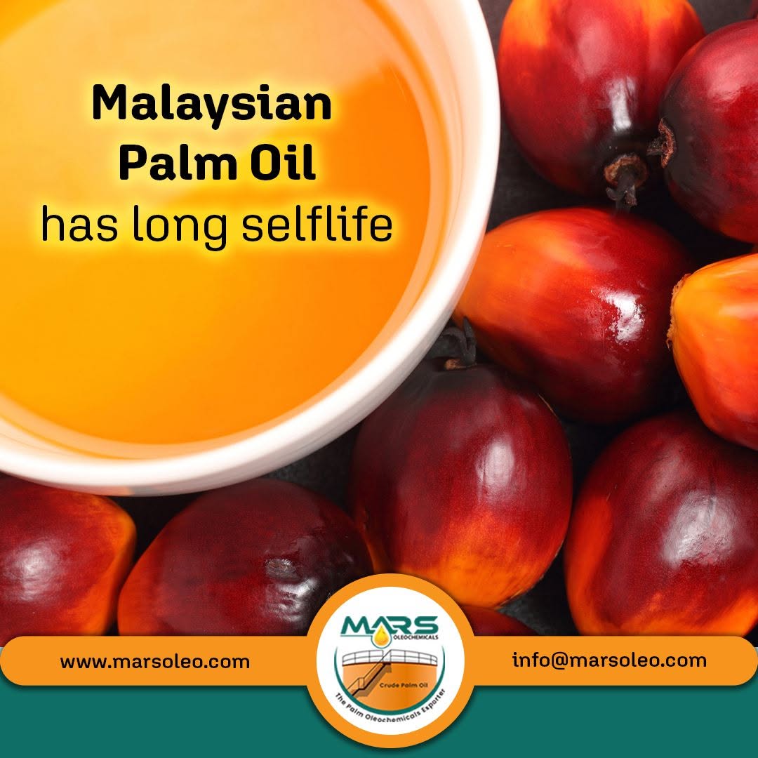Malaysian Palm Oil with golden palm oil and fresh red oil palm fruits, highlighting long shelf-life potential and worldwide supply.