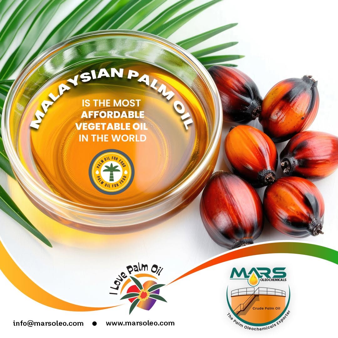 Premium Malaysian Palm Oil for Global Food and Industrial Markets