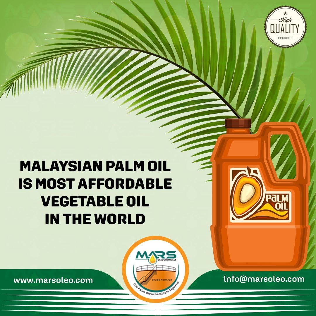 Premium Malaysian Palm Oil for Global Food and Industrial Applications
