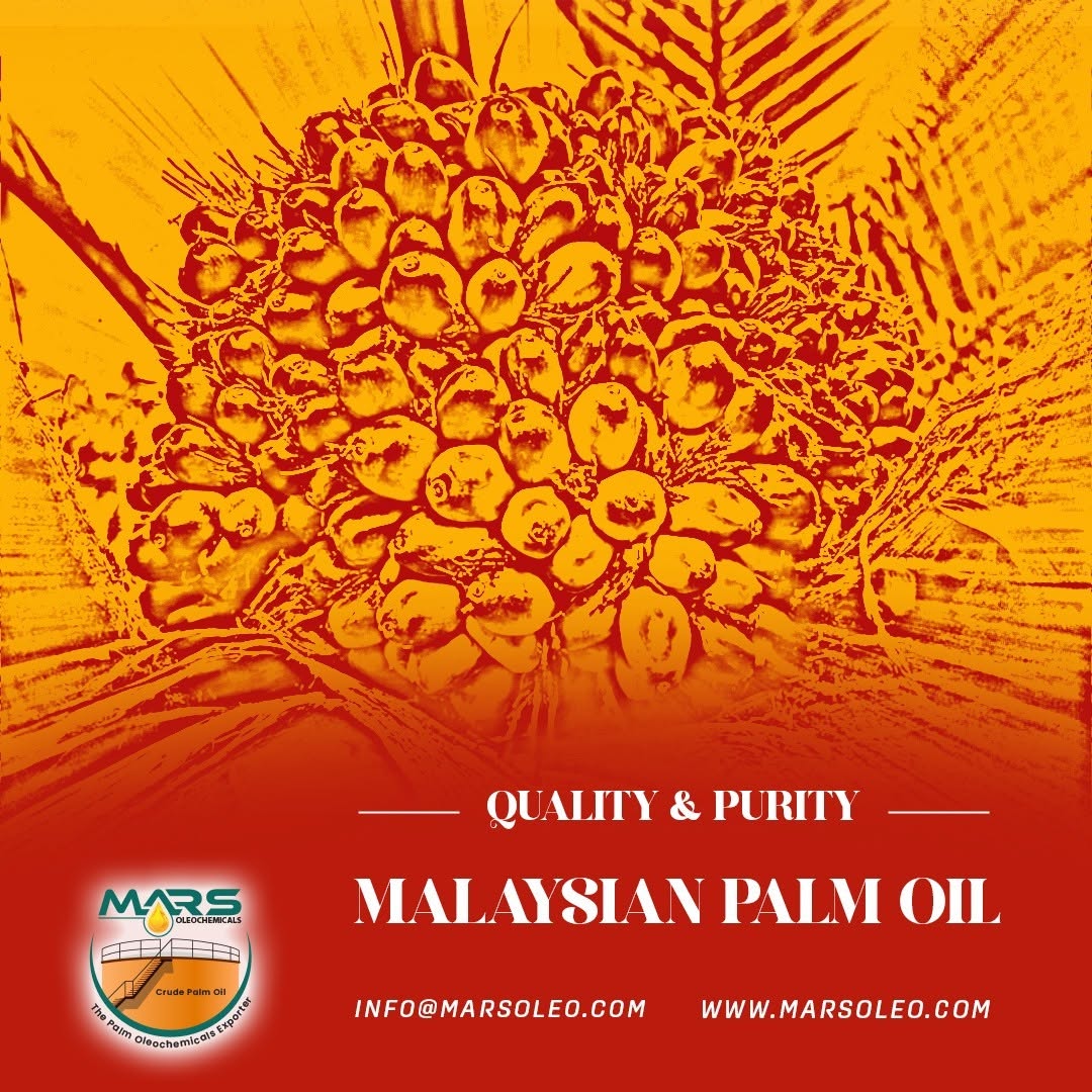Malaysian Palm Oil fruit bunch representing quality palm oil supplied and exported by Mars Oleochemicals.