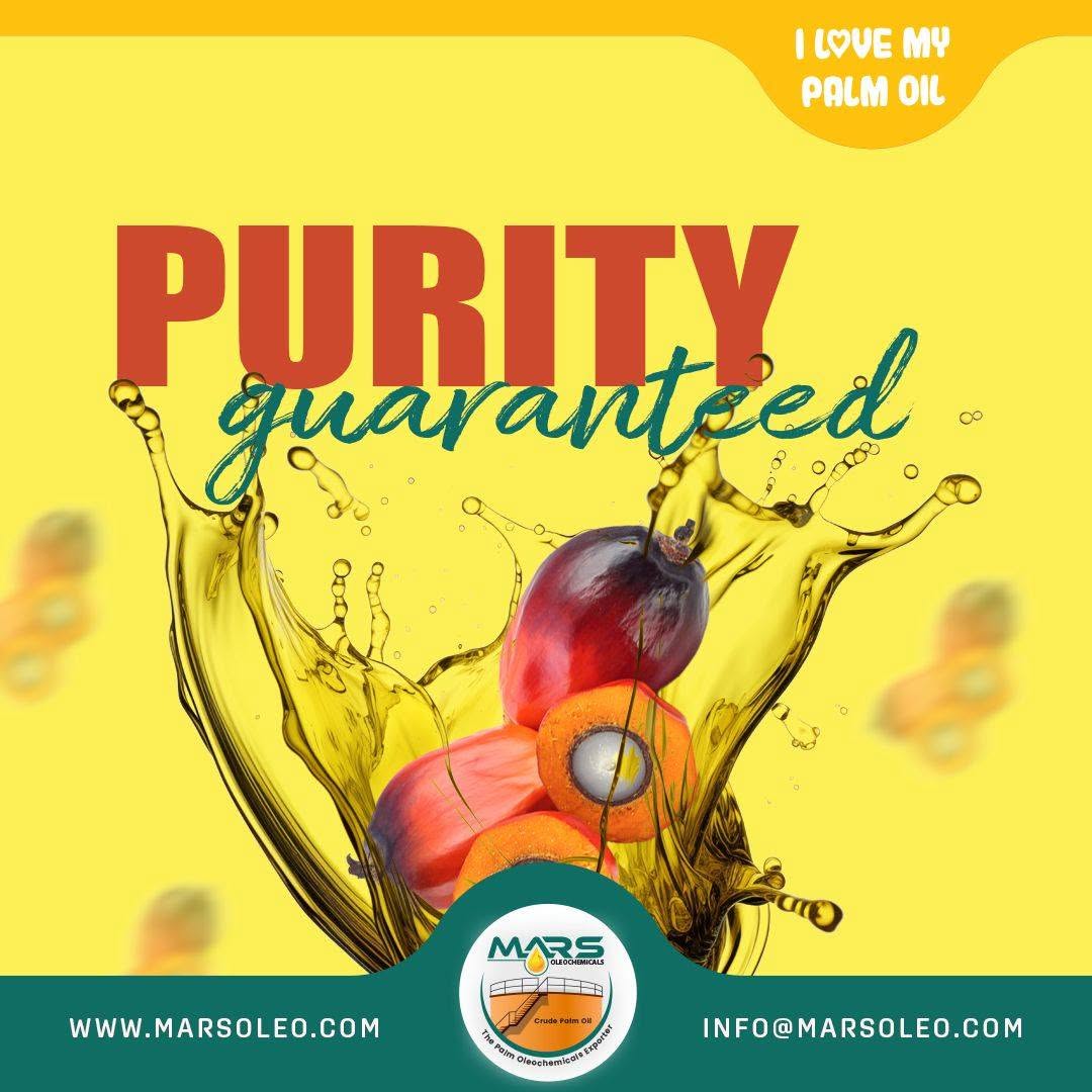 Malaysian palm oil with oil palm fruits representing quality, purity and versatile global applications.