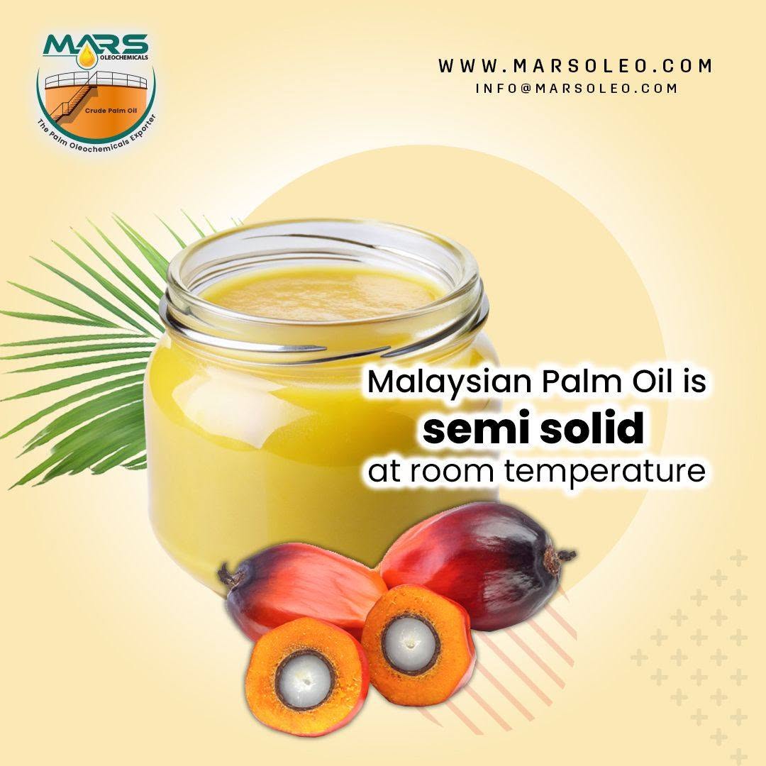 Malaysian Palm Oil semi-solid texture golden palm oil, palm fruits and green palm leaves.