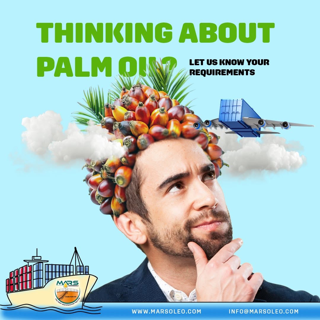 Malaysian palm oil sourcing with oil palm fruits and global export concept by Mars Oleochemicals.