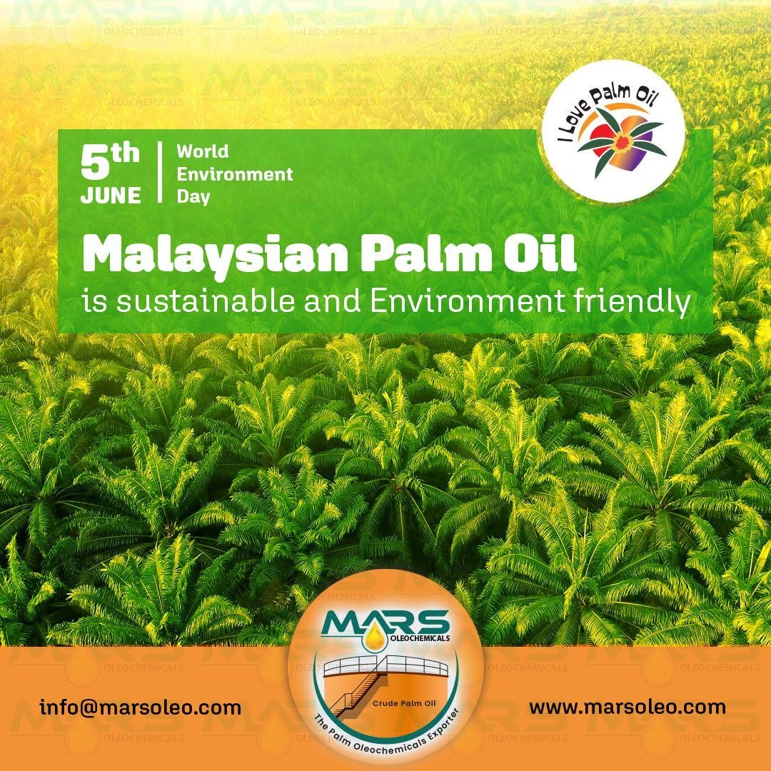 World Environment Day featuring sustainable Malaysian Palm Oil, lush palm plantations, and eco-friendly agricultural practices promoting environmental responsibility.