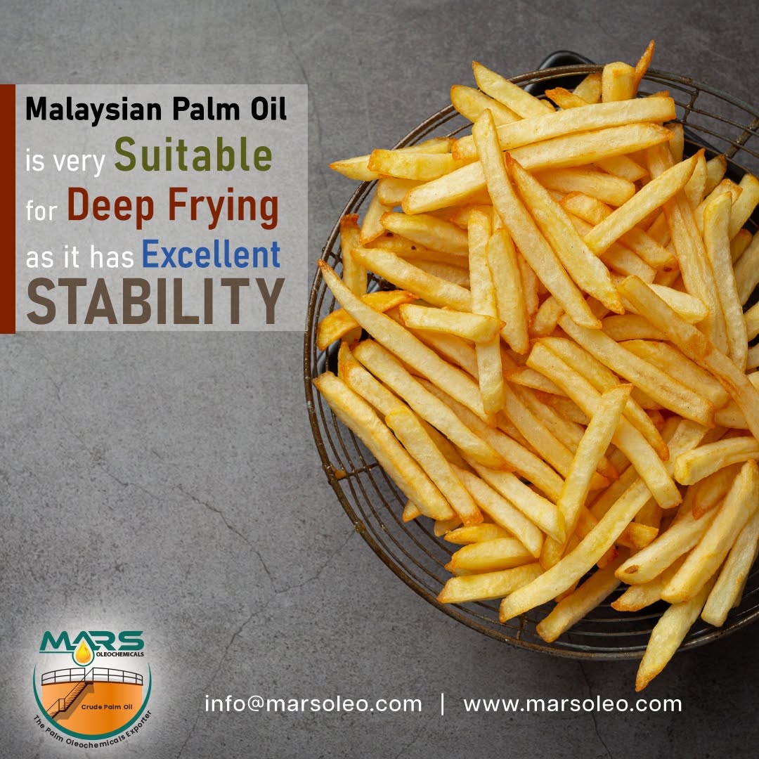 Malaysian RBD Palm Olein as a stable oil for commercial deep-frying applications.