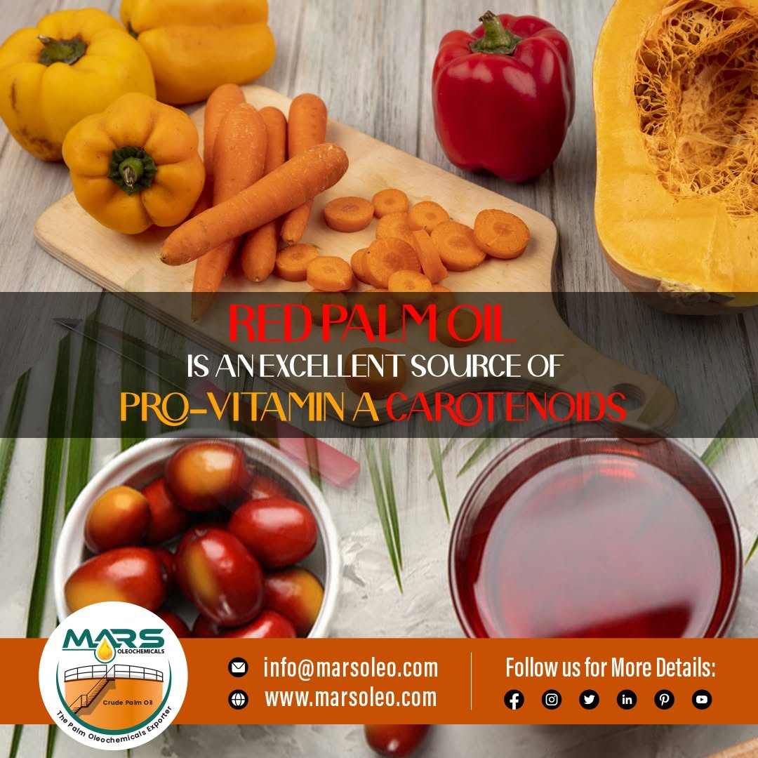 Malaysian red palm oil with oil palm fruits representing natural beta-carotene, alpha-carotene and provitamin A carotenoids.