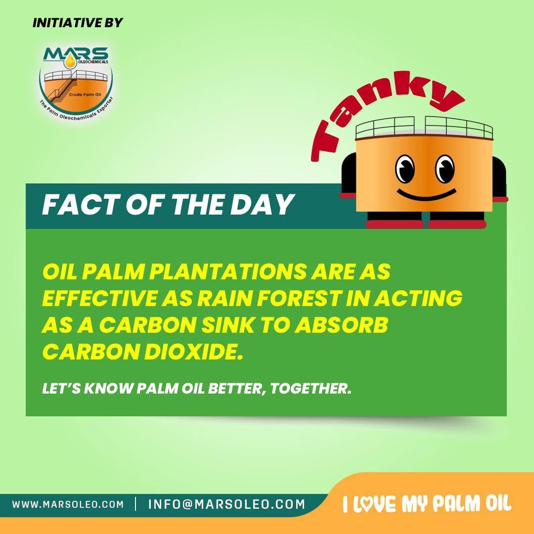 Tanky's Fact of the Day discussing carbon dioxide absorption and carbon storage by oil palm plantations.