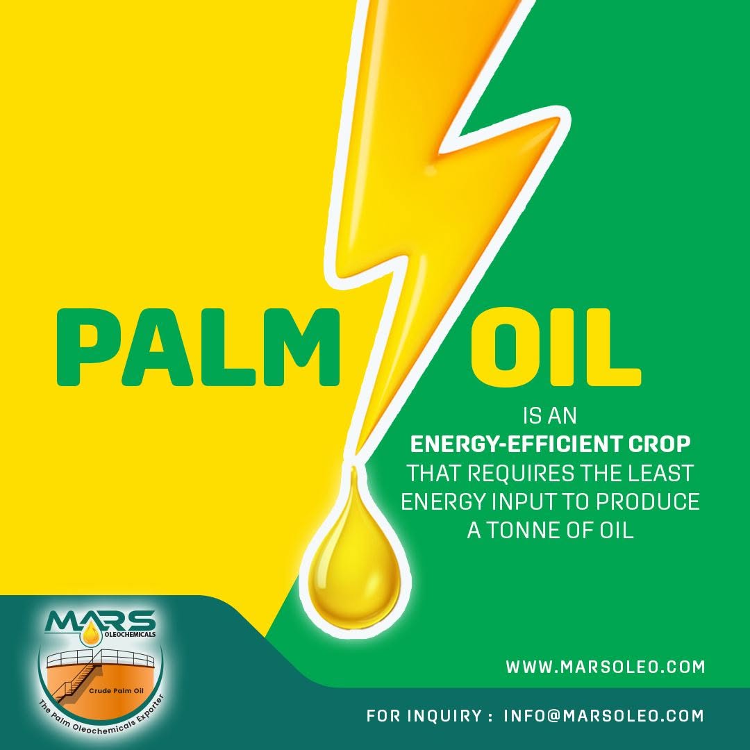 Energy symbol with golden palm oil drop representing oil palm energy efficiency and high productivity.