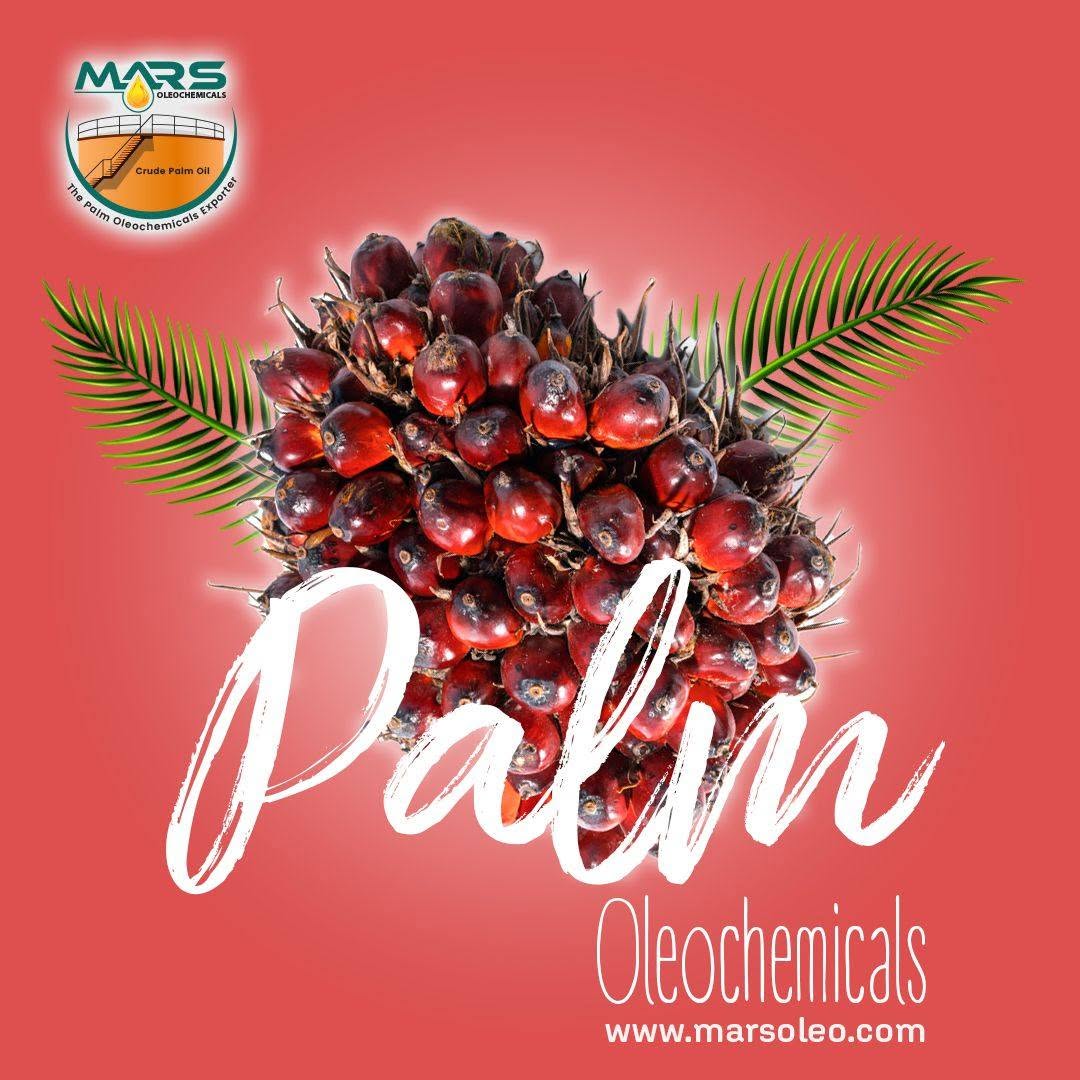 Fresh oil palm fruit bunch with Mars Oleochemicals branding representing Malaysian palm-based refined glycerine, soap noodles, fatty acids, fatty alcohols and surfactants for worldwide export.