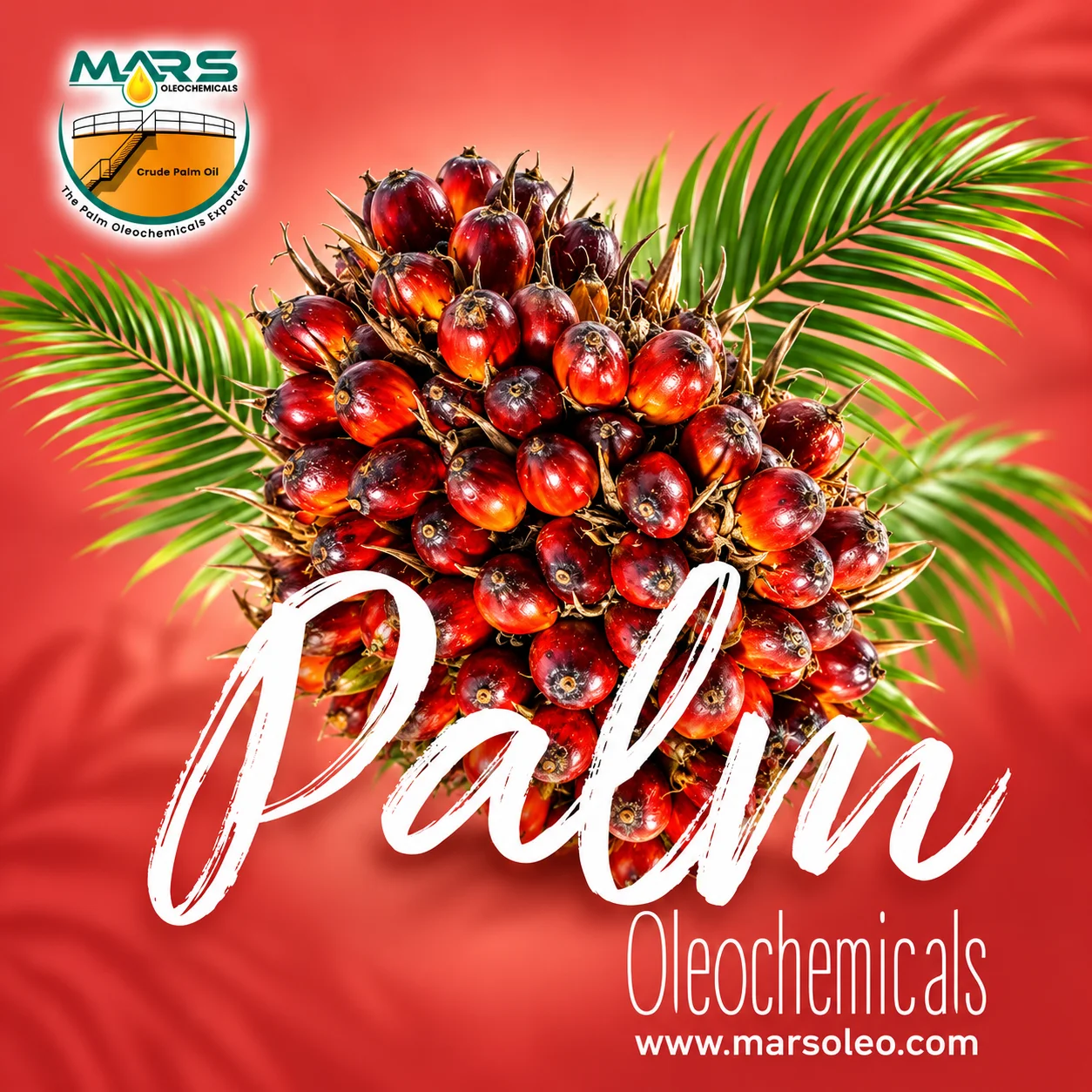 Mars Oleochemicals featuring a fresh oil palm fruit bunch representing palm-based oleochemicals and industrial derivatives.
