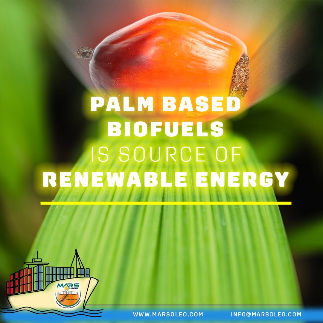 Palm-based biodiesel and Palm Methyl Ester as renewable fuel solutions for transport and industry.