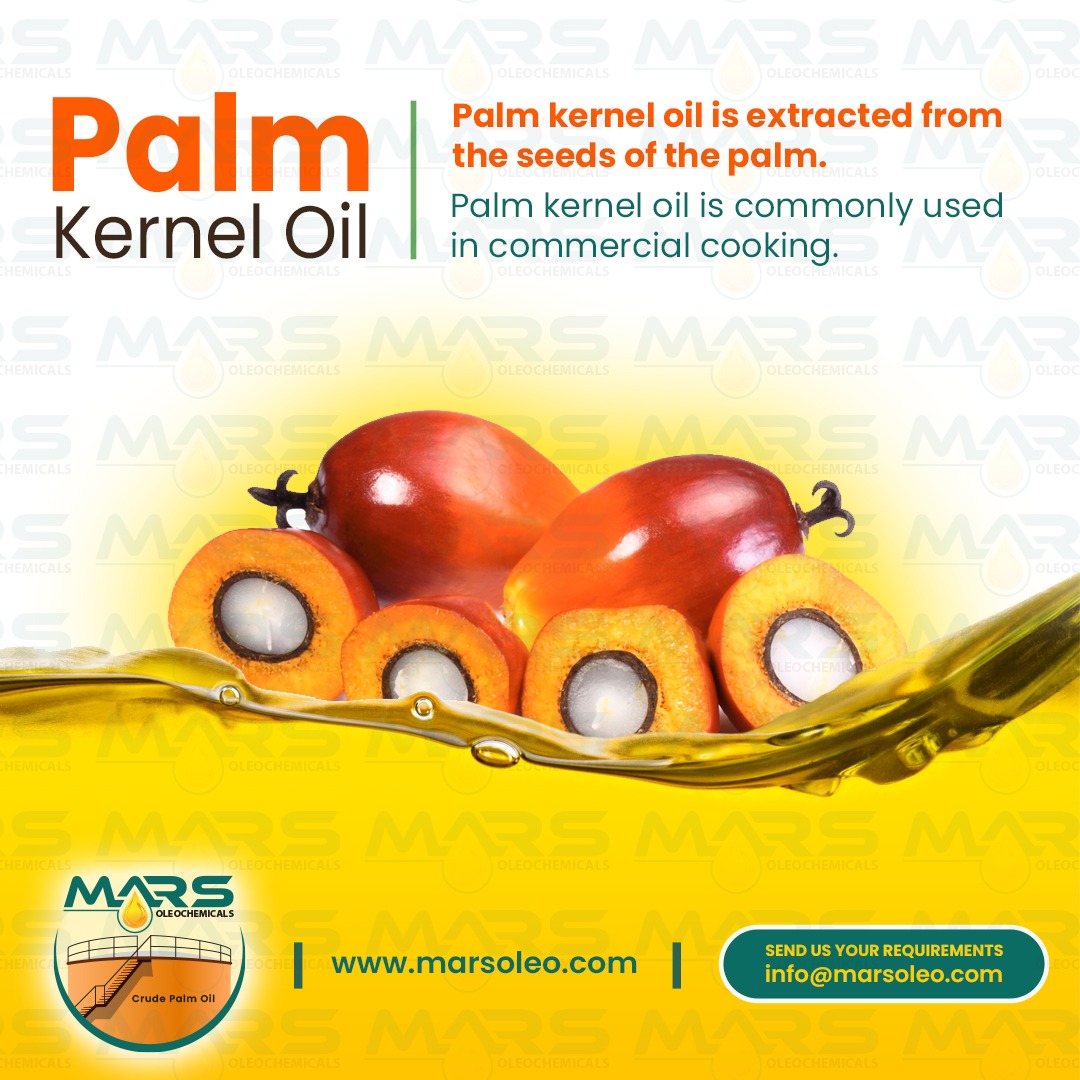 Palm Kernel Oil Malaysia supplier premium vegetable based palm kernel oil for specialty fats food industry oleochemicals and commercial cooking.