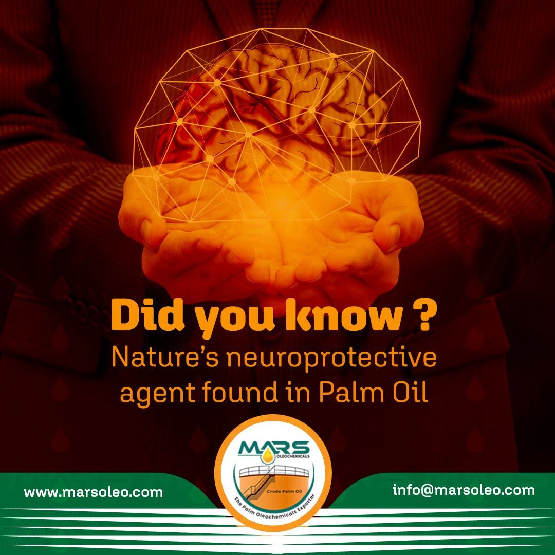 Palm oil naturally contains tocotrienols, members of the Vitamin E family studied for antioxidant and neuroprotective properties.