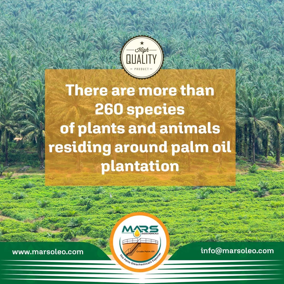 Palm Oil Biodiversity - More Than 260 Species Thrive Around Palm Oil Plantations