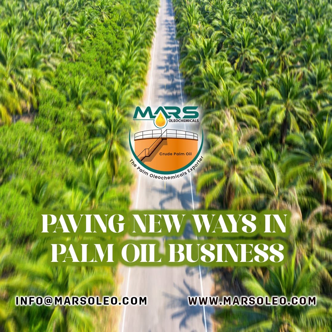 Palm plantation representing Malaysian palm oil sourcing and global supply.