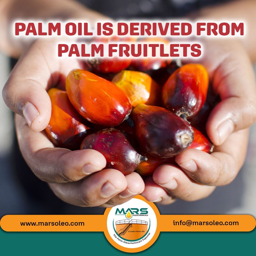 Palm Oil derived from palm fruitlets the natural source of high-quality palm oil supplied by Mars Oleochemicals.