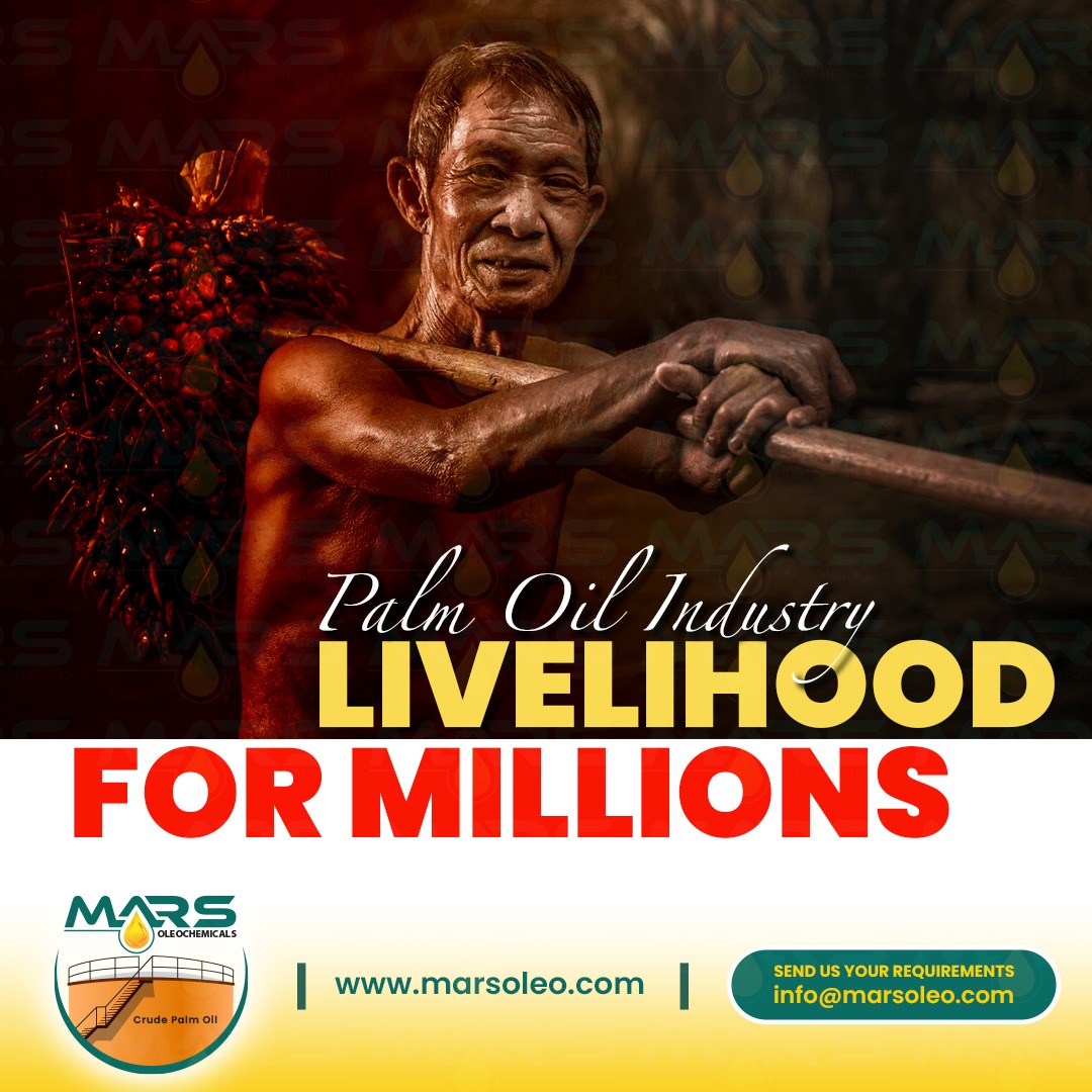 Palm oil industry livelihood for millions palm oil plantation worker carrying fresh fruit bunch Malaysia sustainable palm oil economy
