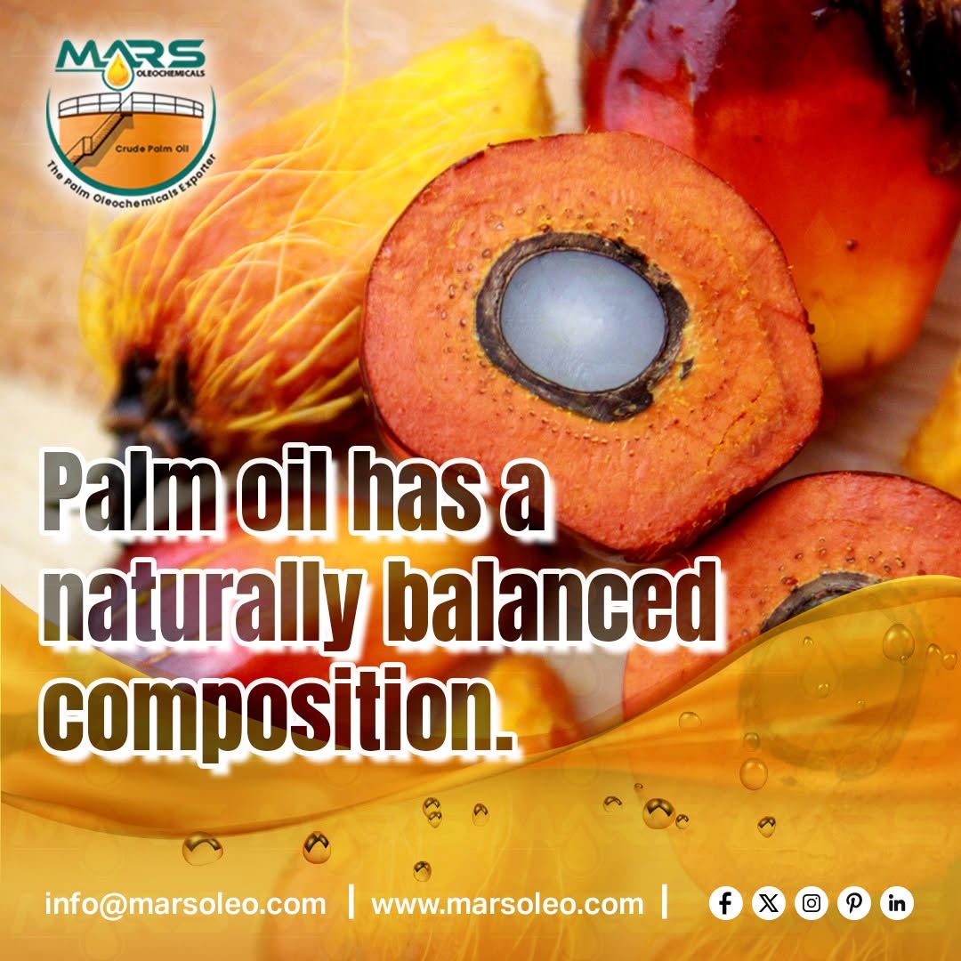 Palm oil fruit and golden palm oil showing naturally balanced composition supplied by Mars Oleochemicals Malaysia for food, soap, detergent, personal care and oleochemical applications.