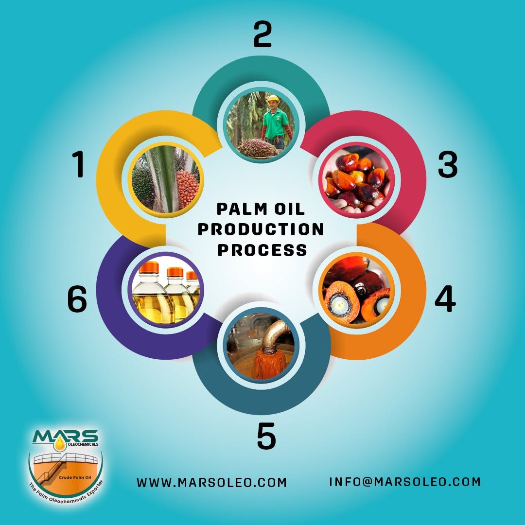 Mars Oleochemicals palm oil production stages from plantation harvesting through fruit processing, refining and packaging.