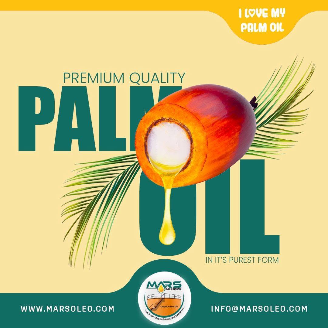 Premium Malaysian palm oil an oil palm fruit releasing golden vegetable oil with palm leaves.