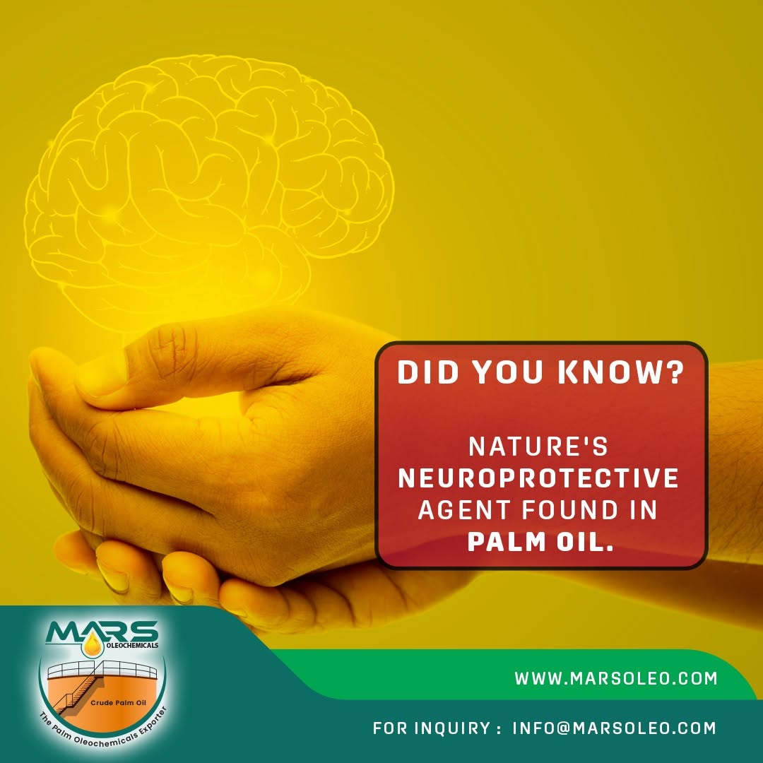 Vitamin E tocotrienols naturally found in palm oil and potential neuroprotective research.