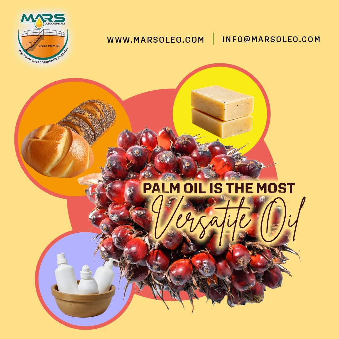 Mars Oleochemicals oil palm fruit with bread, soap and personal-care products representing versatile palm oil applications.