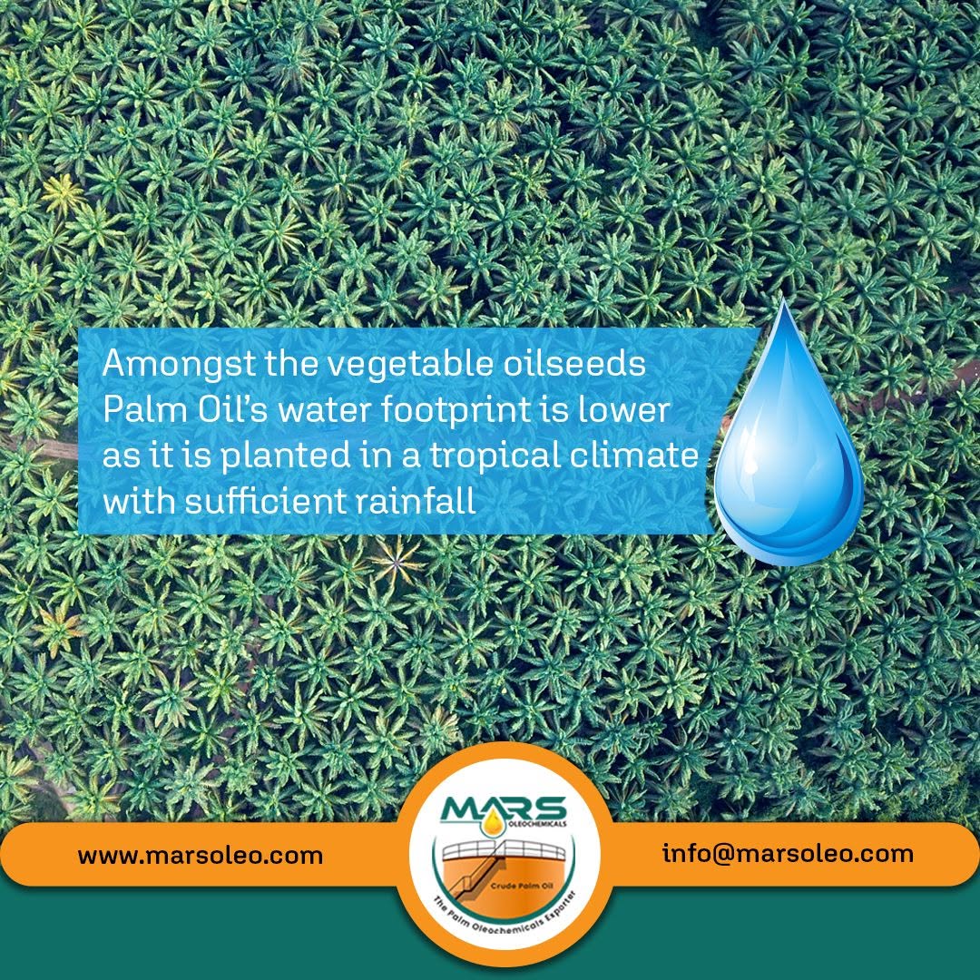 Oil palm is predominantly cultivated in tropical regions where natural rainfall can supply much of the crop's water needs, while overall water footprint varies by location, yield and production system.