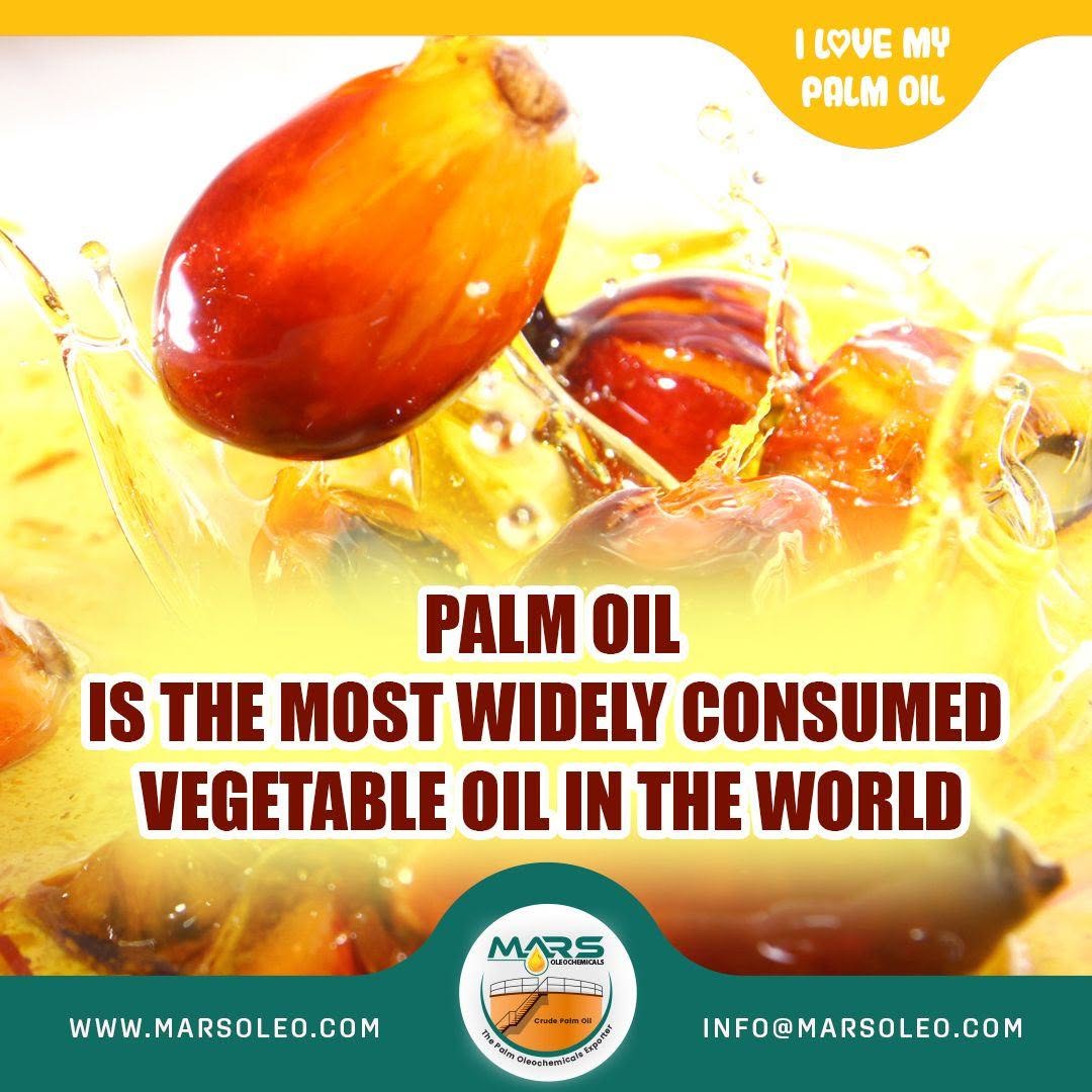 Oil palm fruits splashing in golden palm oil the widespread global consumption and use of palm oil.
